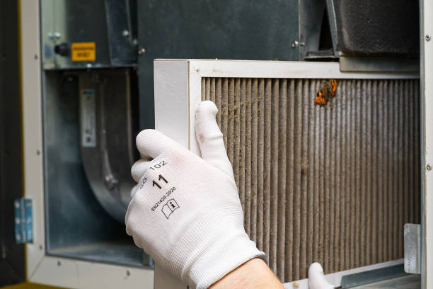 Best Local Air Duct Cleaning Services  in Crest View Heights, NY